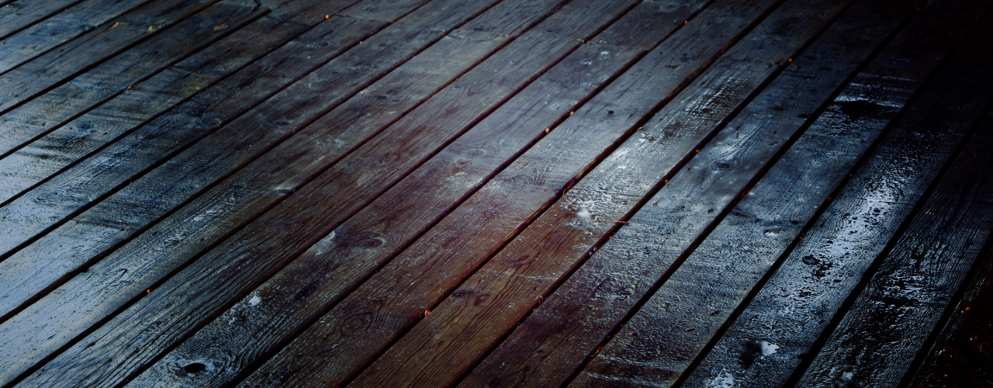Mould Growth on Timber
