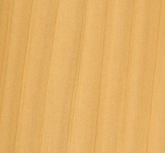 Macrocarpa