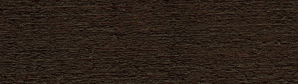 Cocoa Bean